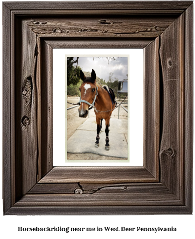 horseback riding near me in West Deer, Pennsylvania